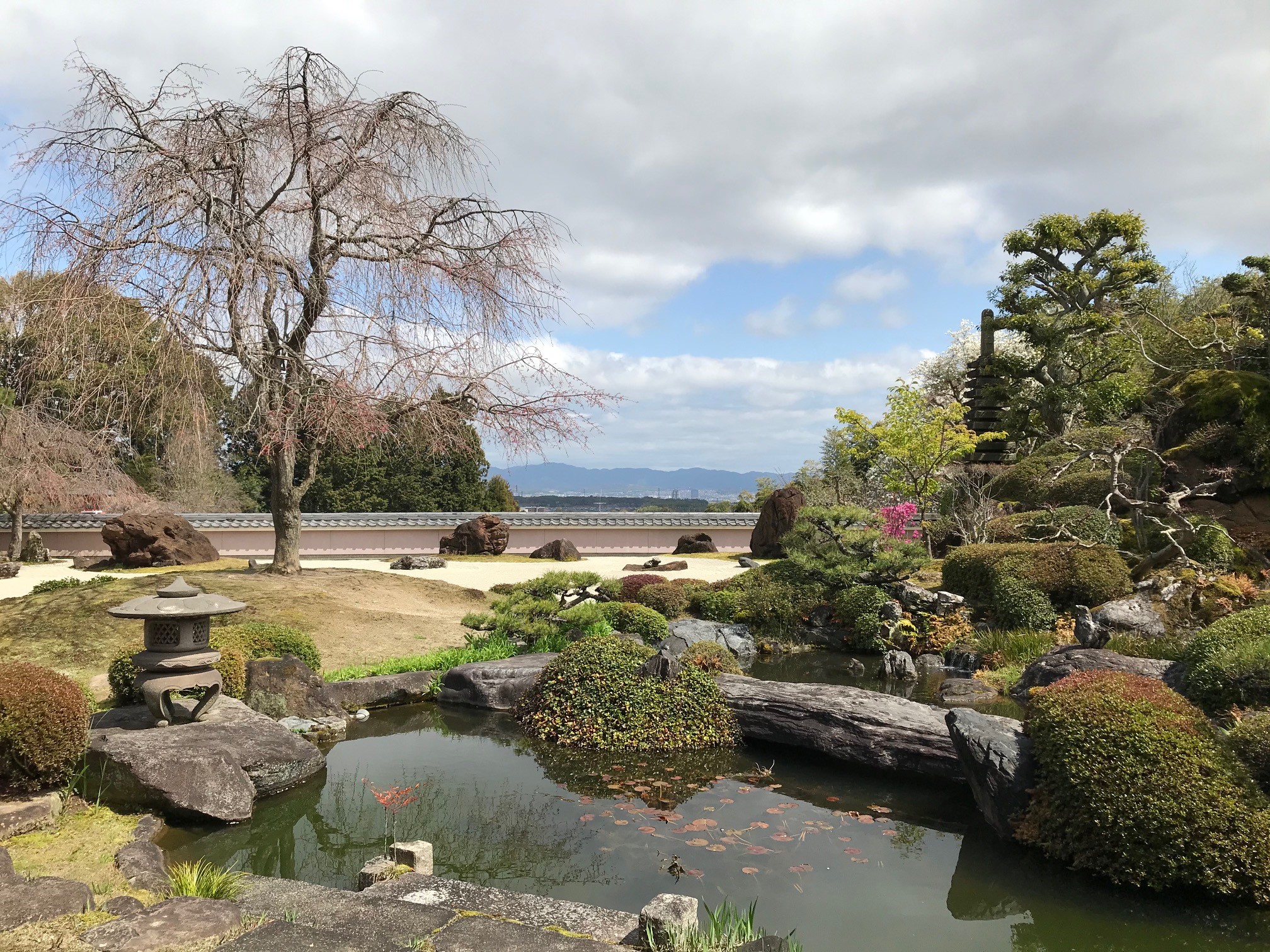 正法寺は京都洛西の名刹 東山連峰一望の借景庭園しだれ桜の見頃は 京都はんなりずむ