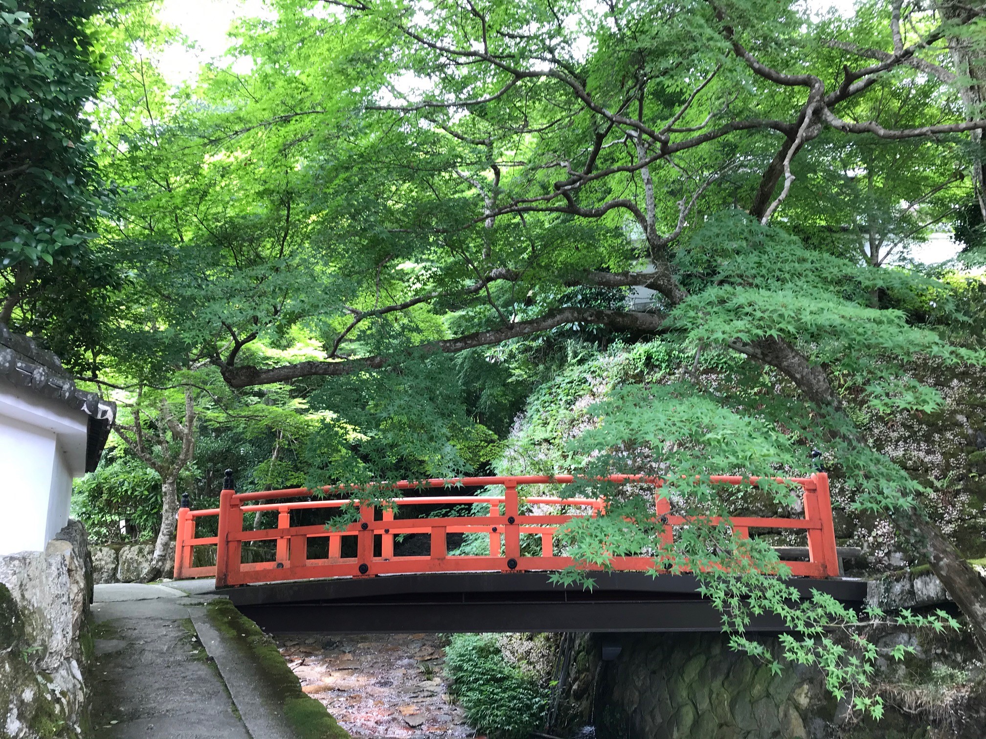 京都 青もみじ の名所と穴場を紹介 洛北編 京都奥座敷の新緑 京都はんなりずむ