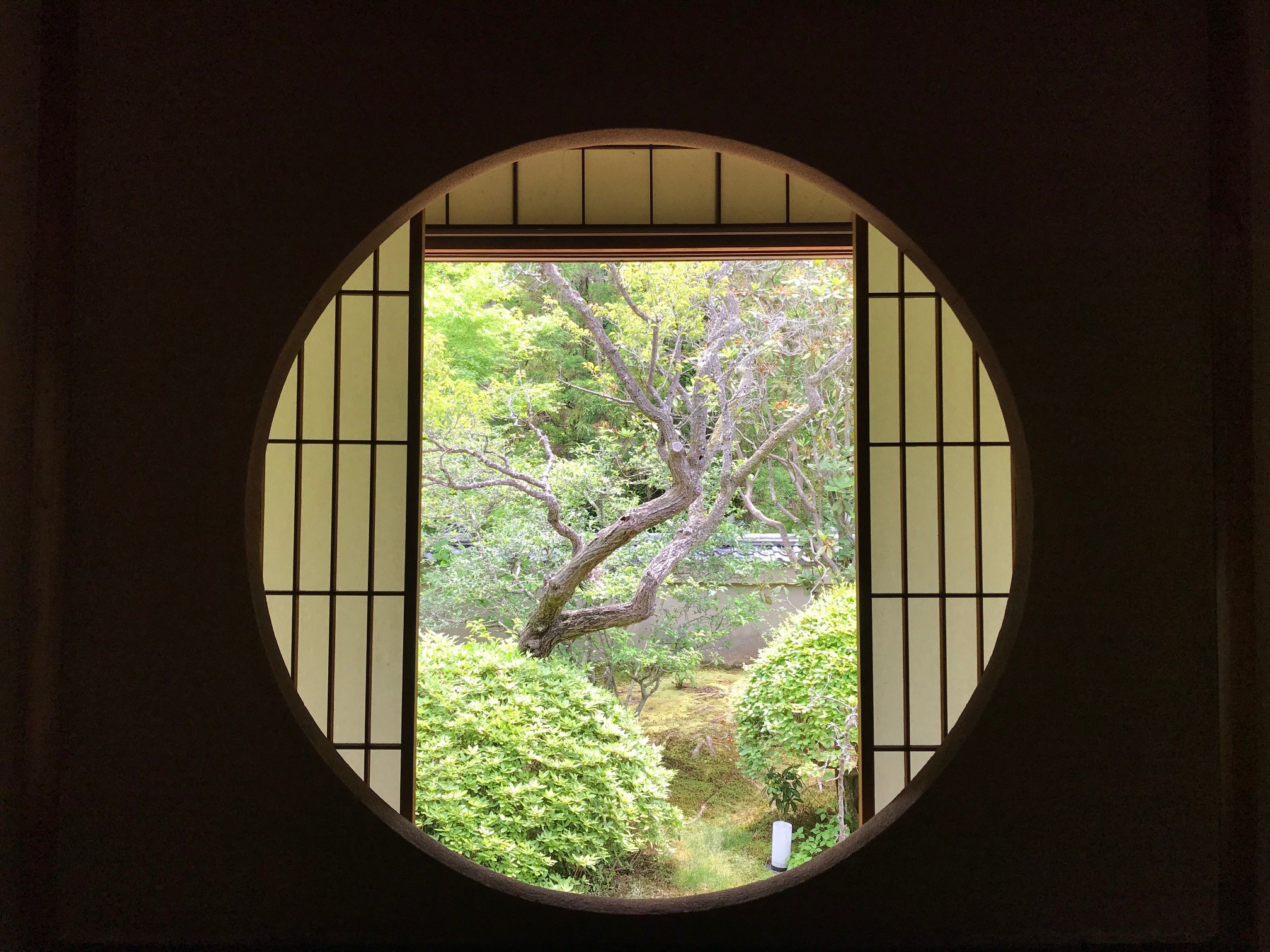 雲龍院“御寺泉涌寺別院”で悟りの窓、迷いの窓としきしの景色を満喫 京都はんなりずむ