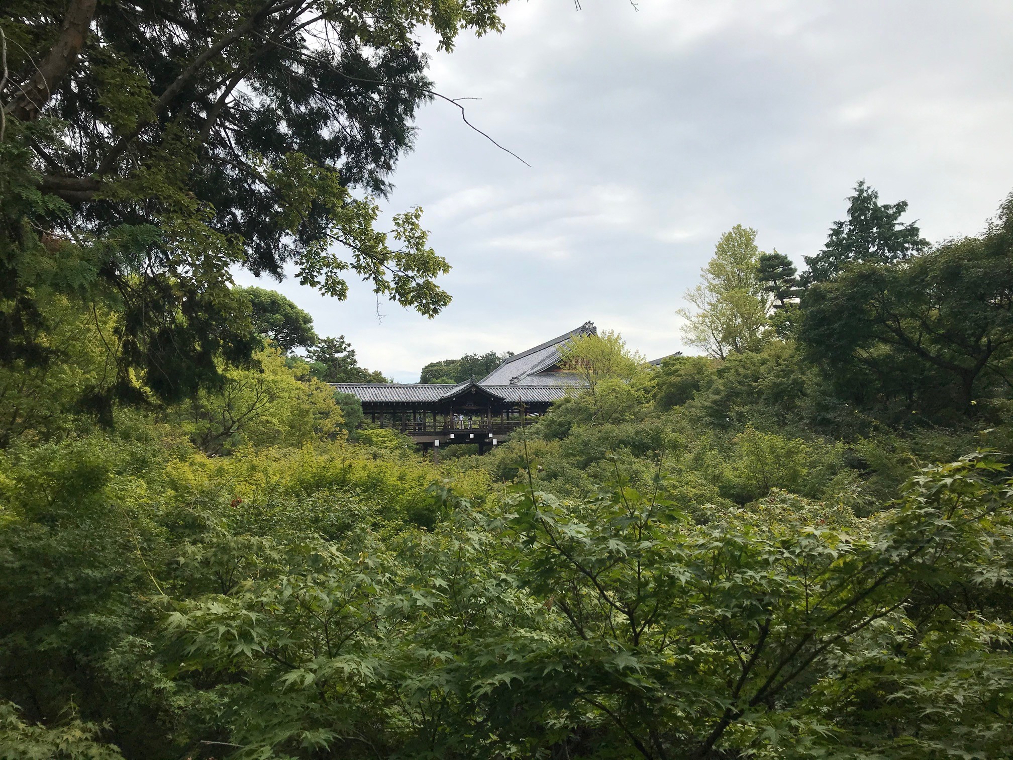 東福寺三門と法堂の特別公開と京都屈指の紅葉名勝 三名橋 について 京都はんなりずむ