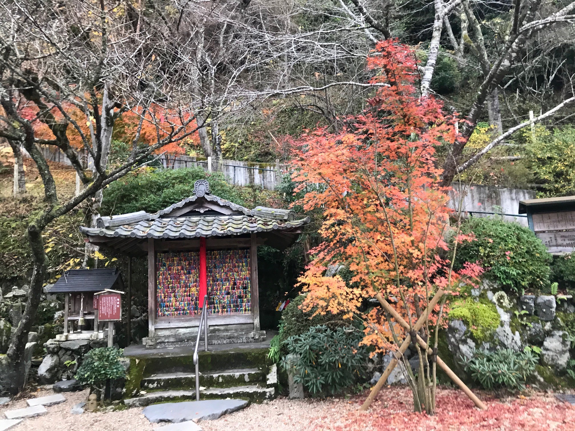 京都宇治田原・正寿院のインスタ映えは幸せを呼ぶハート型の猪目窓 | 京都はんなりずむ