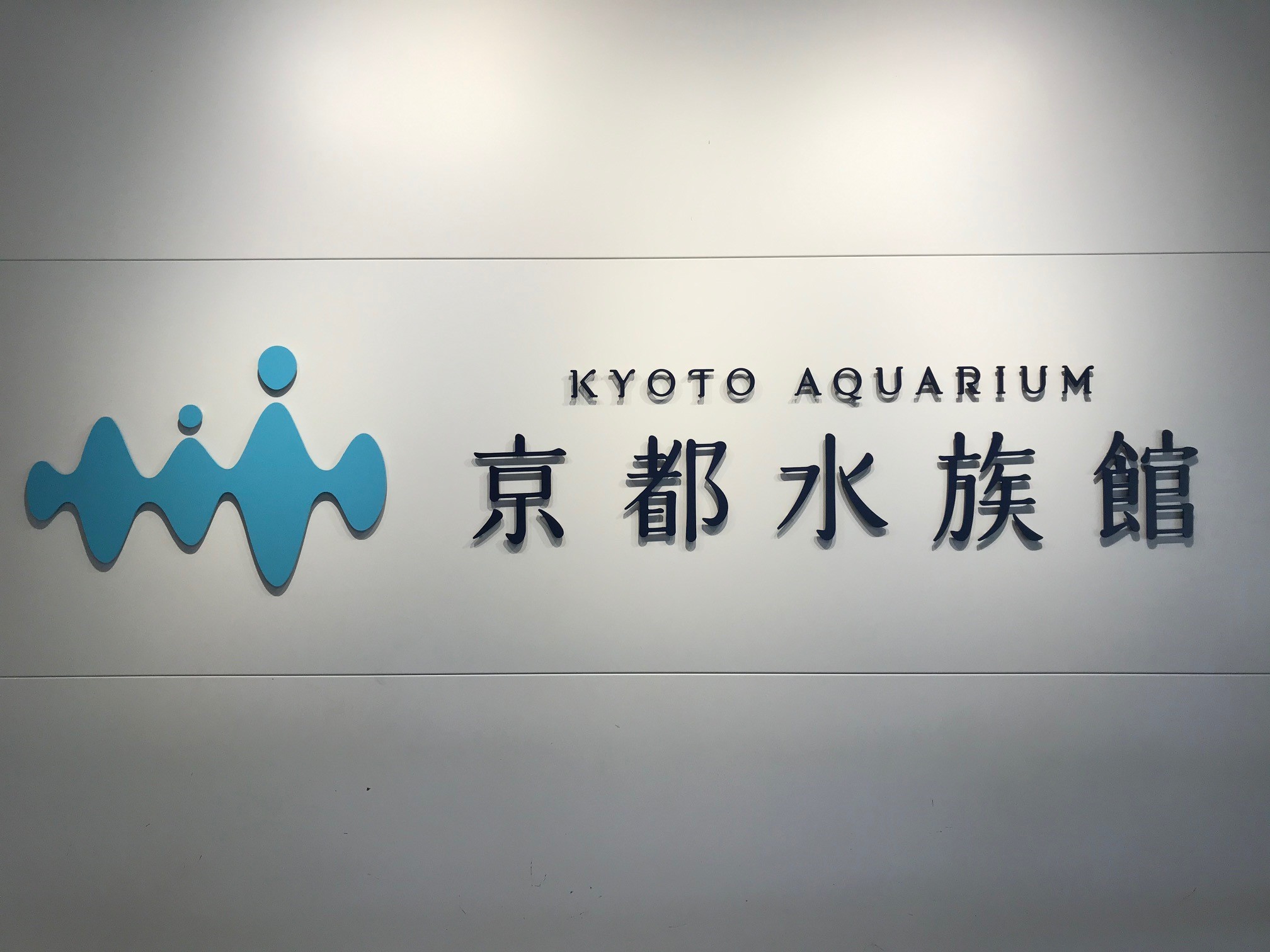 京都水族館の口コミを検証 つまらないのはイルカショー それとも 京都はんなりずむ