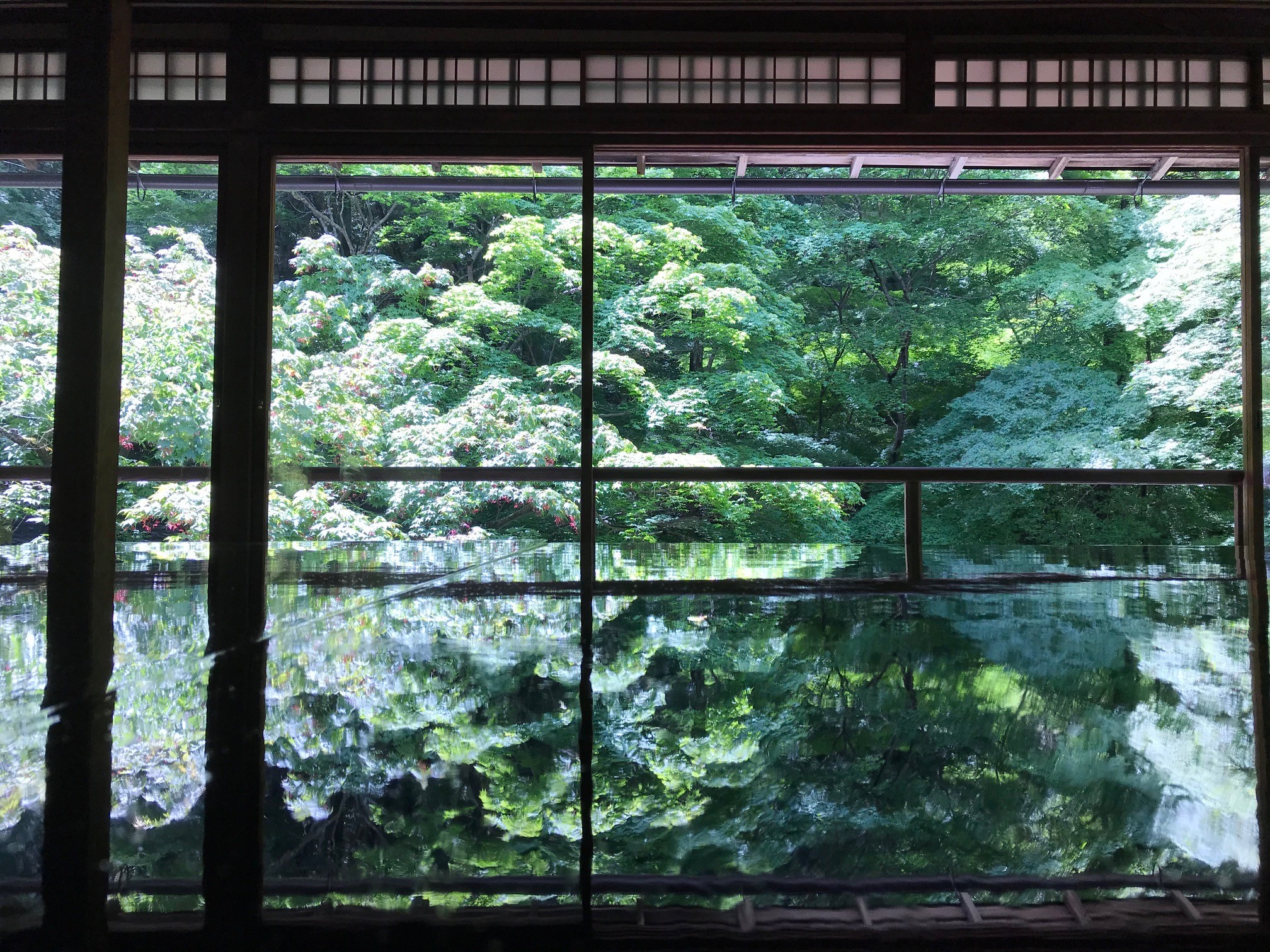 瑠璃光院 春の特別拝観21に行ってきた 青もみじと苔が美しい庭園 京都はんなりずむ